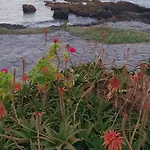 Lejlighed Eras Buenavista