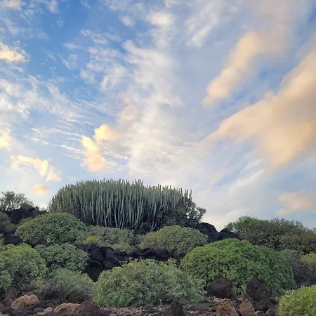 Apartamento Eras Buenavista *